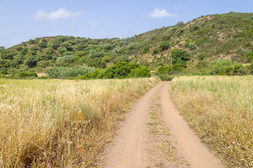 Fototapeta na wymiar Road in Ajezur with mountain and vegetation