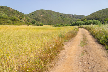 Road in Ajezur with mountain ,vegetation and wheat plantation