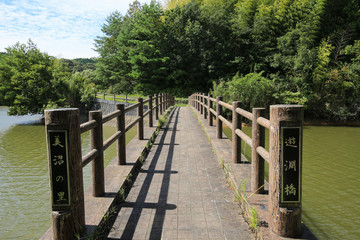 Fototapeta premium 愛媛県宇和島市 中山池自然公園 中山池