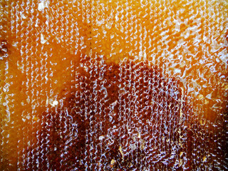 The abstract photo for theme natural honey
