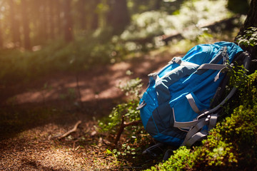 tourist backpack at the summer forest