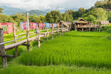 Nan, Thailand - September, 24, 2017 : Coffee Shop in paddy field name 