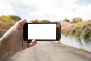 Asian man holding phone on street using application take photo forest environment around and proscees in screen isolated