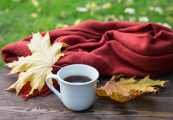 cup of tea on the table with a scarf and yellow leaves