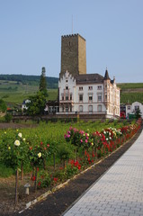 Fototapete bei efototapeten.de bestellen   