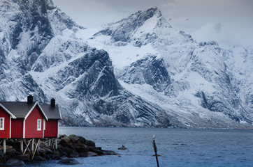Red fishing houses in front of the snowy mountains on the coast of the Lofoten Islands