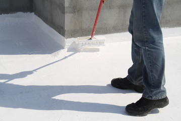 Roof Coating