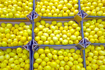 Boxes of fresh  lemons