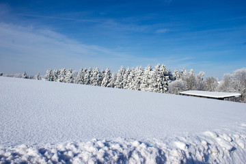 Winterlandschaft
