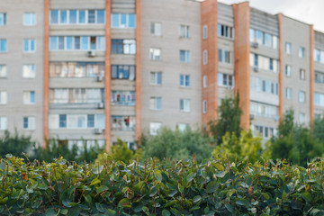 Green fence on the background of the city