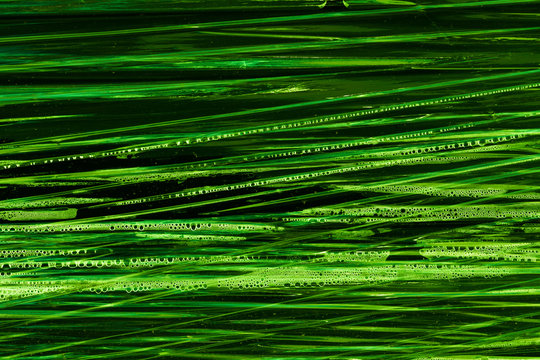 Gr&uuml;ne Plastikfolie mit Wassertropfen
