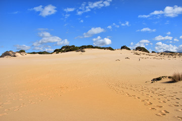 Fototapeta na wymiar Dune di Piscinas - Sardegna