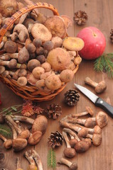 autumn still life mushrooms on a table