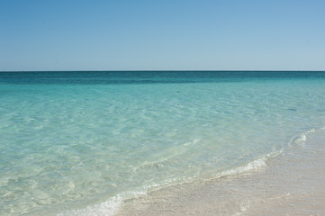 crystal clear water on Heron Island, QLD, Australia