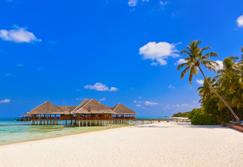 Cafe on tropical Maldives island
