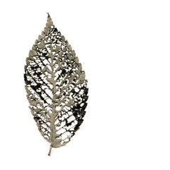 Insect damage on autumn elm leaf leaves skeletal vein structure on white background