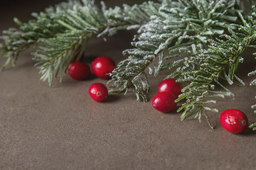 Christmas tree branch cranberries. Dark gray stone background.