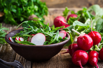 Salad with rucola and radish