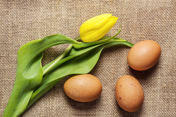 Organic eggs on a linen cloth and a tulip
