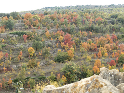 Autumn colors in Maestrazgo, Spain