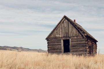 wooden rural house