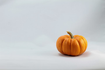 Orange autumn pumpkin on white background