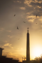 Obraz premium Birds in Rome on sunset