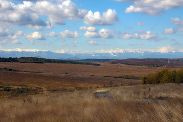 Fototapeta na wymiar landscape. Clouds over the silky autumn grasses in the field