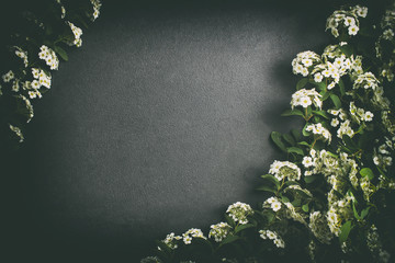 Summer white flowers on black