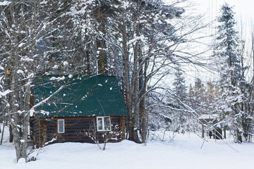 Wooden rustic house with a green roof stands in a snowy forest