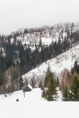 Fir-trees and peasant houses on the snow-covered mountains, Carpathians, Ukraine