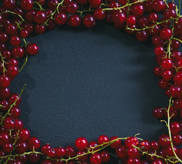 Red currant frame with space for text