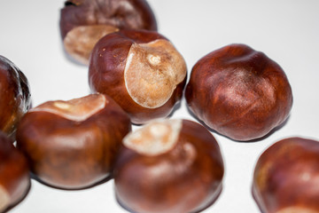 Fresh chestnuts on white background