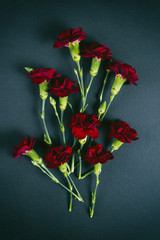 Red carnations on dark table, view from top