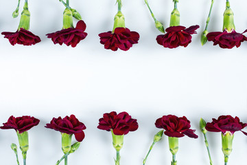 Red carnations frame on white