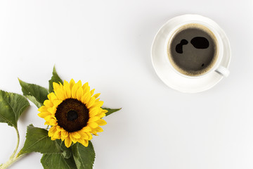 A cup of coffee and sunflower on white with space for text