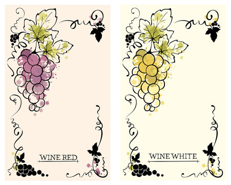 Fototapeta Label for red and white wine -- set /  Vector illustration, floral design element, splash watercolor