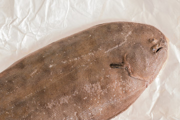 Close up of raw sole fish.