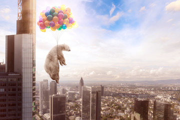 Ein Bär hängt an Luftballons