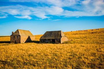 Campagne dans le Cantal