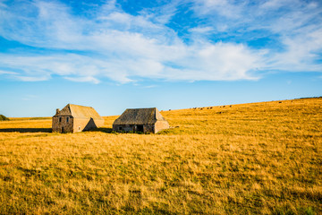 Campagne dans le Cantal