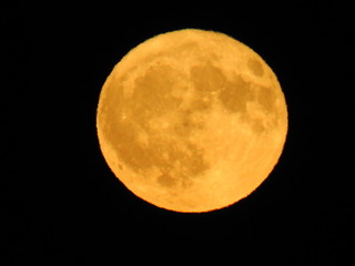 moon, full moon, moonlight, crater, space, harvest moon, harvest, fall, lunar
