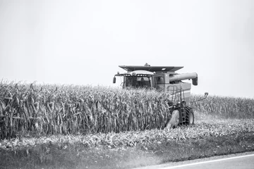 Deurstickers Combine harvest corn crop on rural farmland © G