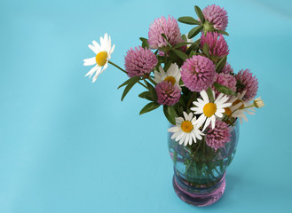 clover flowers in a vase on a blue background