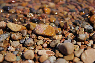  Sea ​​stones