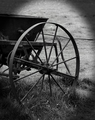 Fototapeta na wymiar Black & white Agricultural Cart Wheel