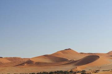 Dunes in the Namib Desert / Dunes in the Namib Desert to the horizon, Namibia, Africa.