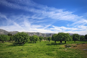 Fototapeta na wymiar Mountain landscape near Segovia, Spain