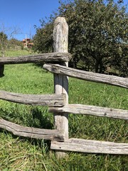 Fototapeta premium wood fence