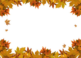autumn background falling leaves and umbrellas space for  text